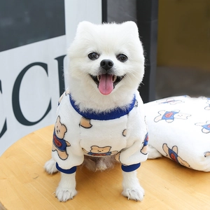 Detail of white plush dog sweater with cartoon bear print and blue ribbed cuffs