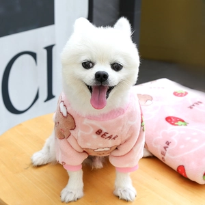 Detail of pink flannel dog hoodie and matching blanket with cute strawberry bear pattern