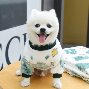Detail of plush white pet fleece sweater and matching blanket with dinosaur print
