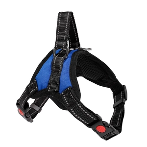Detail of blue dog harness featuring reflective stitching and a red safety locking buckle