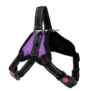 Detail of purple dog harness with reflective strips, D-ring and red safety lock buckles
