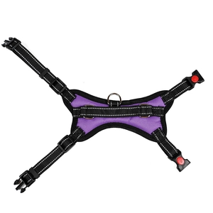 Detail view of purple dog harness with adjustable straps and red safety lock