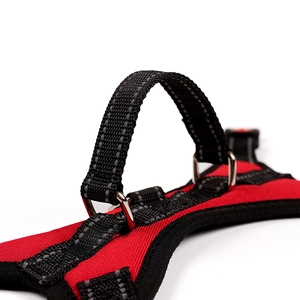 Detail of red and black dog harness featuring heavy-duty handle and reflective stitching