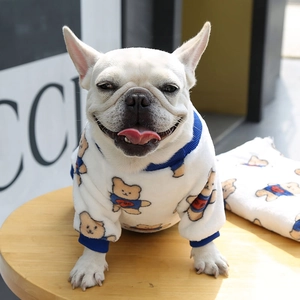 French Bulldog wearing a warm fleece dog hoodie with teddy bear print and blue ribbed cuffs