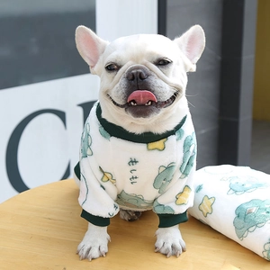 Detail of warm white fleece dog sweater featuring green ribbing and dinosaur pattern