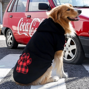 Golden Retriever in a black buffalo plaid paw print hoodie next to a vintage red car