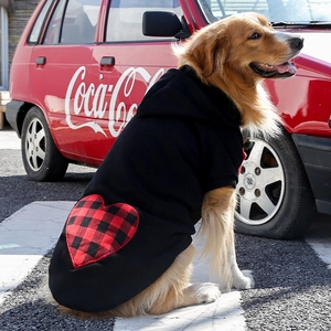 Golden Retriever wearing a black dog hoodie with a red and black plaid heart pattern