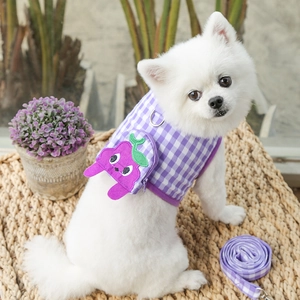 Dettaglio dell'imbracatura viola a quadretti con zaino a uva su un Pomerania