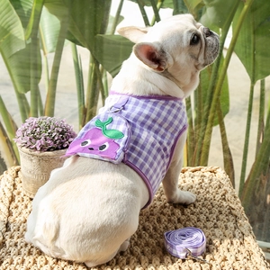 Dettaglio dell'imbracatura per cani a quadretti viola con tasca a melanzana e guinzaglio