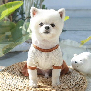Détail de robe gaufrée pour chien avec plis orange et style automnal douillet pour animaux
