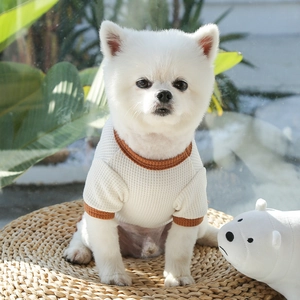 Détail d'un t-shirt gaufré blanc cassé pour animaux avec poignets côtelés marron