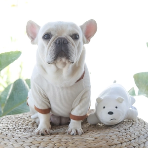Gros plan d'un pull gaufré crème pour animal porté par un bouledogue français en extérieur