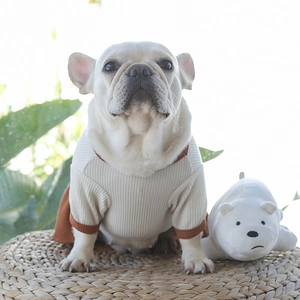 Détail de la manche raglan caramel et texture gaufre sur t-shirt pour chien