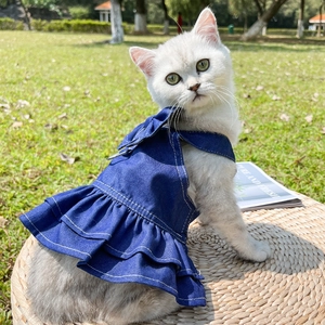 Detail of blue denim pet dress with double ruffle skirt and metal D-ring for leash attachment