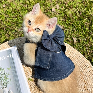Detailed view of denim pet harness with large bow and metal D-ring on a cat