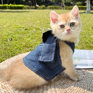 Close-up of a blue denim pet harness with metal D-ring on a cat in outdoor setting