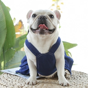 Detail of blue denim pet dress with stitching and buckle on French Bulldog