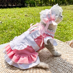 Détail de la robe rose pour animal avec dentelle et chapeau à froufrous assorti