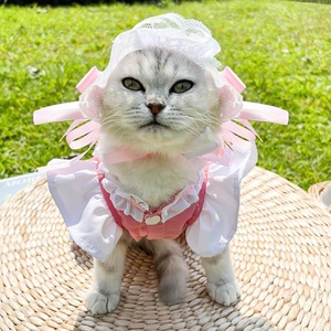 Détail d'une robe de servante rose pour chat avec chapeau en dentelle et ruban soyeux