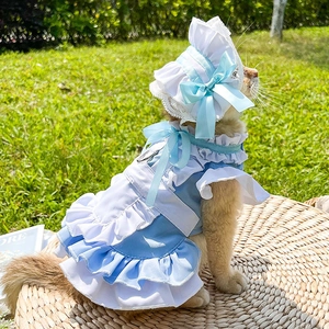 Ensemble robe et chapeau de servante bleu pour chats et chiens sur fond d'herbe