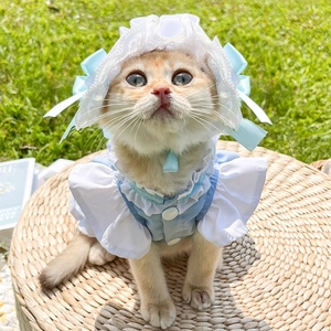 Détail d'une robe de servante bleu clair à volants et chapeau en dentelle pour chat