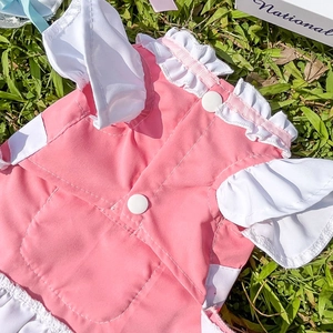 Détail d'une robe de servante pour animal rose avec volants blancs et boutons-pression