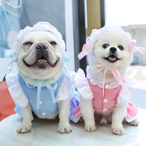Ensemble robe et chapeau de style soubrette pour petits chiens en bleu et rose