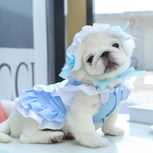 Détail d'une robe de servante bleu clair pour animaux avec volant blanc et chapeau en dentelle