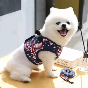 Dettaglio della pettorina e guinzaglio per cani con motivo denim su un Pomerania