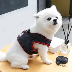Dettaglio dell'imbracatura per cani in denim blu e guinzaglio con bordo scozzese rosso