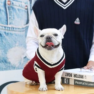 Macro detail of wine red pet knit vest with V-neck stripes on a French Bulldog