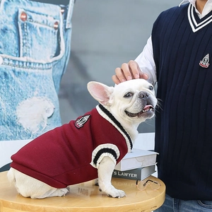 Close-up of collegiate style pet knit vest in burgundy with V-neck and striped trim