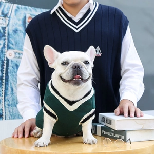 Detail of dark green V-neck knit pet vest with striped edges and collegiate style texture