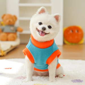 Detail of blue and orange fleece pet vest with leash attachment on a Pomeranian