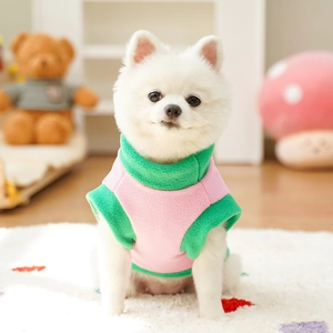 Close-up of a white dog wearing a pink and green color-blocked fleece vest