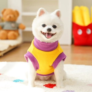 Gros plan d'un Loulou de Poméranie portant un gilet chaud en polaire jaune et violet
