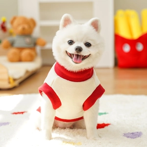 Gros plan d'un petit chien portant un pull en polaire rouge et crème à la maison
