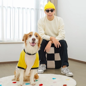 Matching beige and yellow pet hoodie set for dog and owner in cozy home setting