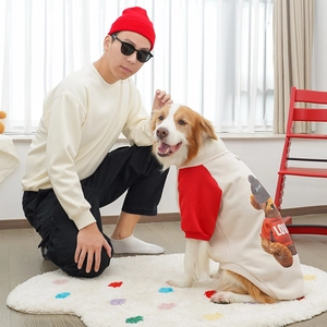 Detail of pet fleece hoodie with red raglan sleeves and cute teddy bear graphic print
