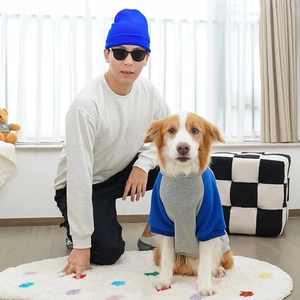 Cozy matching grey sweaters for owner and dog in a bright and warm home setting