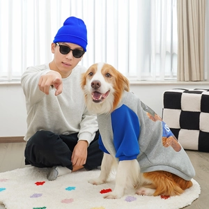 Detail of grey pet sweatshirt with blue sleeves, bear print and winter accessories