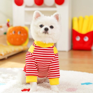 Detail of red and white striped pet hoodie with yellow ribbing on a white Pomeranian dog