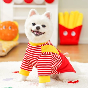 Detail of red and white striped dog hoodie with yellow trim on a white Pomeranian