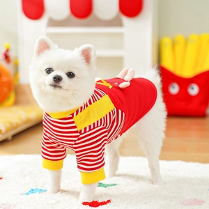 Close-up of a Pomeranian dog wearing a red and yellow striped knit hoodie with ear decor