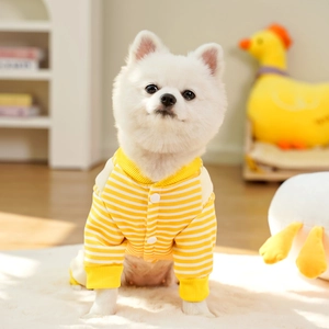 Detail of yellow striped dog cardigan with cotton fabric and button closure design