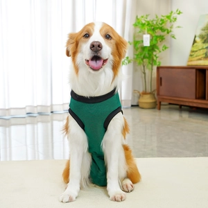 Detail of green striped dog recovery suit showing elastic black edges and breathable fabric