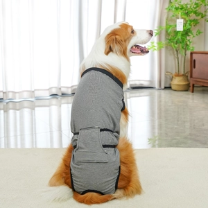 Detail of breathable striped post-surgery recovery suit on a Border Collie dog