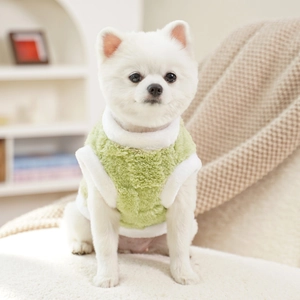 Close-up of a white Pomeranian wearing a cozy green plush vest on a soft sofa