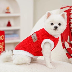Close-up of a white Pomeranian dog wearing a festive red plush sweater with fur trim