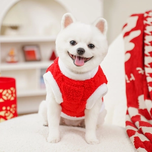Close-up of a festive red pet vest with white plush trim worn by a small dog